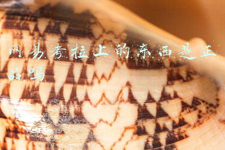 网易考拉上的东西是正品吗