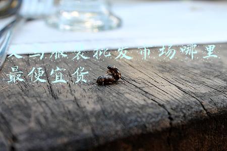 义乌服装批发市场哪里最便宜货