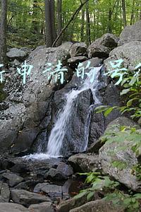 为什么快手新注册的号更好容易被推(怎么才能让快手小视频上热门什么是权重？)