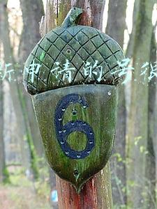 快手老号新号哪个更容易上热门(「抖音快手」老号新号5天激活快速涨粉10w+,视频播放量破100w+)