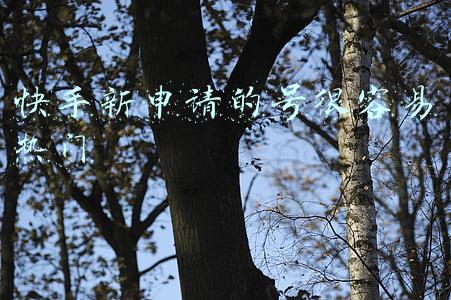 快手怎么申请新号(快手起号技术分享，只需一个月，轻松拥有50W粉丝)
