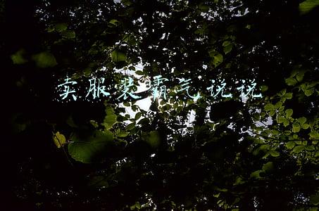 卖服装说说经典语句(1.21随笔 注重衣着的人年收入更高)