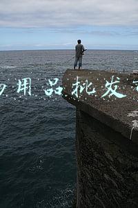 宠物用品批发市场
