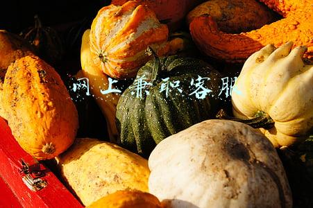 网上兼职客服