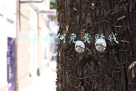 怎样才可以网上赚钱(到底如何在互联网上挣到钱)