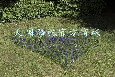 美国骆驼官方商城