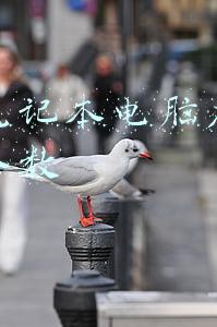 购买笔记本电脑应考虑哪些参数