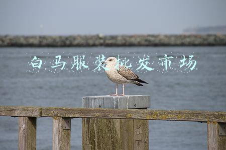 白马服装批发市场