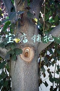 淘宝店铺托管