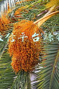 微信平台赚钱