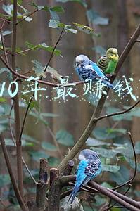 未来最赚钱的十大行业有哪些(US.News 公布2021年最挣钱的十大专业)