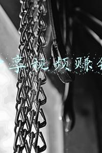 分享视频赚钱