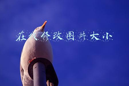 在线修改图片大小
