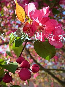 在线修改图片大小