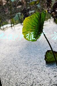 本地app推广方案