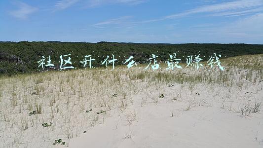社区开什么店最赚钱