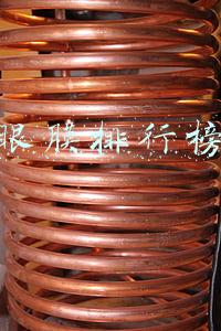 眼膜排行榜