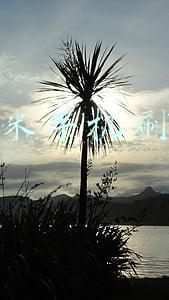 红米手机刷机