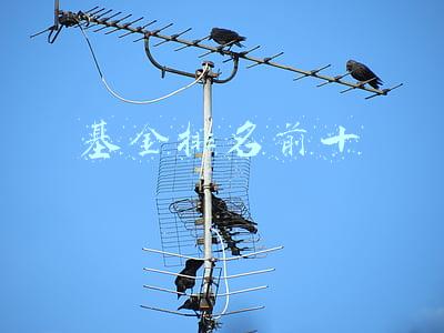 基金排名前十