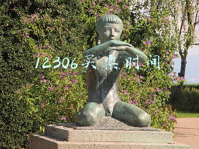 12306买票时间
