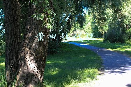 莆田鞋代理费多少(2022年兴业银行莆田分行新春招聘公告)