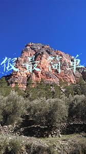 耐克真假最简单的辨别