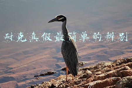 耐克真假最简单的辨别