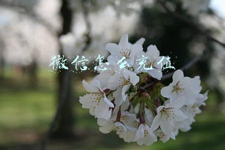 微信怎么充值