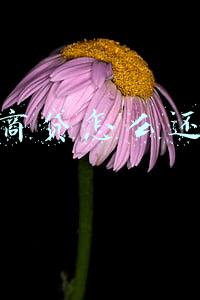 网商贷怎么还款