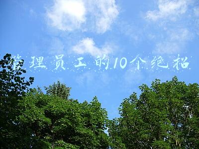 管理员工的10个绝招讲读(再小的管理者，也要懂这10条管理法则，老板满意，手下服气！)