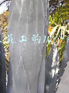 管理员工的10个绝招