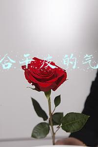 适合干皮的气垫