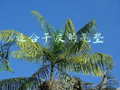 适合干皮的气垫
