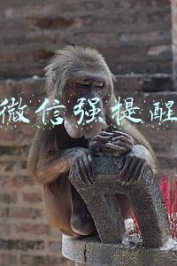 微信强提醒