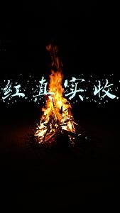 网红真实收入