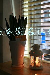 怎么实名认证