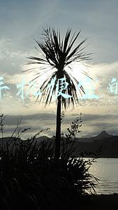 手机便宜的