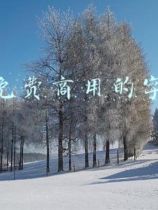 可免费商用的字体
