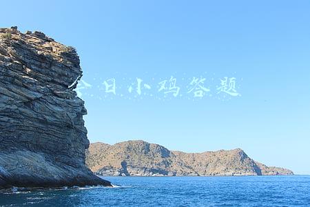 今日小鸡答题
