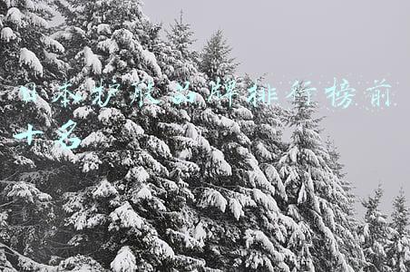 日本护肤品牌排行榜前十名
