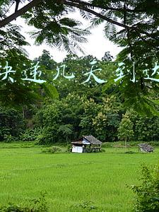 顺丰快递几天到达目的地深圳到天津(“双十一”遭遇雨雪天气，途经这些地区的快递或延迟)