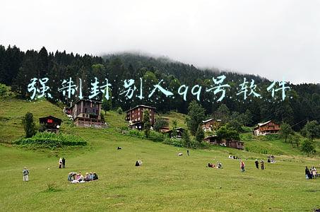 强制封别人qq号软件