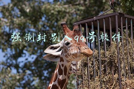 强制封别人qq号软件