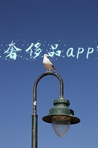正品奢侈品app哪个好