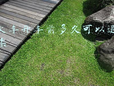 火车开车前多久可以退票不收手续费(铁路部门调整车票预售期为15天 开车前8天及以上退票免费)
