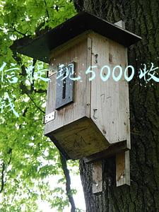 微信提现5000收多少钱