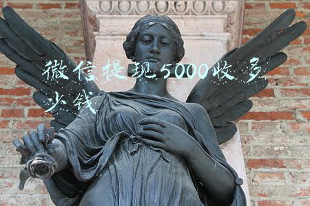 微信提现5000收多少钱