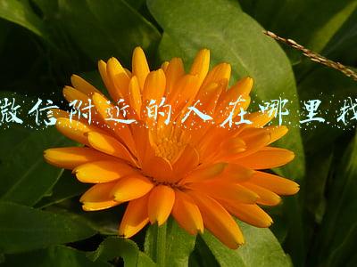 微信附近的人在哪里找
