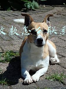 微信收款怎么联系付款人