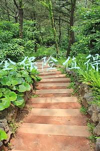 教育金保险值得买吗